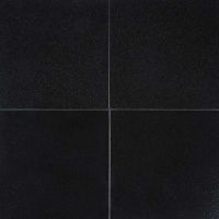 Absolute India Black Granite Tile