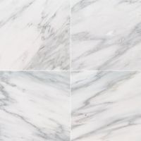 Arabescato Carrara 12" x 12" Honed Marble