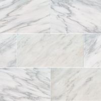 Arabescato Carrara 12" x 24" Honed Marble