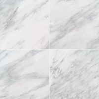 Arabescato Carrara 18" x 18" Honed Marble
