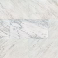 Arabescato Carrara 18" x 36" Polished Marble