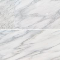 Arabescato Carrara 6" x 12" Marble