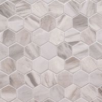 Eden Bardiglio 2 x 2 Hexagon Matte Porcelain Tile