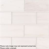 Bianco Dolomite Polished 3" x 6" Subway Tile