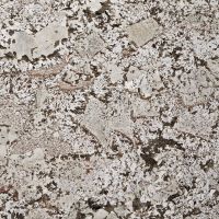 Bianco Antico Granite Countertop 4x4 Sample
