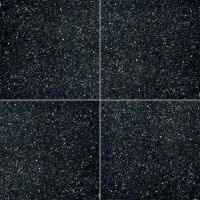 Black Galaxy 18" x 18" Granite Tile