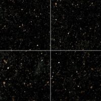 Black Galaxy 24" x 24" Granite Tile