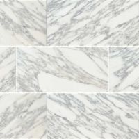 Calacatta Gold 12" x 24" Polished Marble
