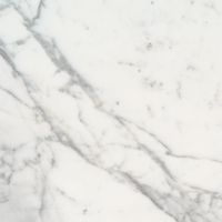 Calacatta Gold 12" x 12" Polished Marble