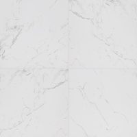 Pietra Carrara 24 x 24 Polished Tile