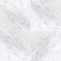 Carrara White 12" x 12" Polished Marble