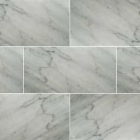 Carrara White 12" x 24" Honed Marble