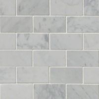 Carrara White 2" x 4" Mosaic Tile