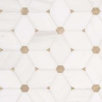 Cecily Pattern Polished Mosaic Tile