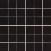 Domino Black 2 x 2 Polished Wall Tile