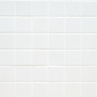 Domino White 2 x 2 Matte Wall Tile