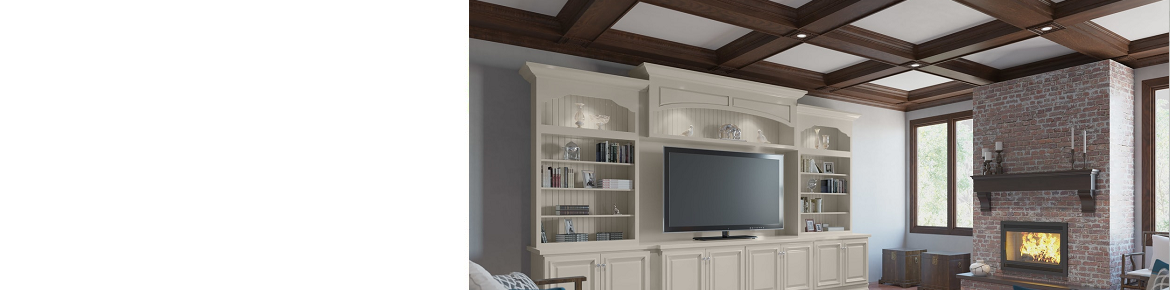 TV Room Cabinetry
